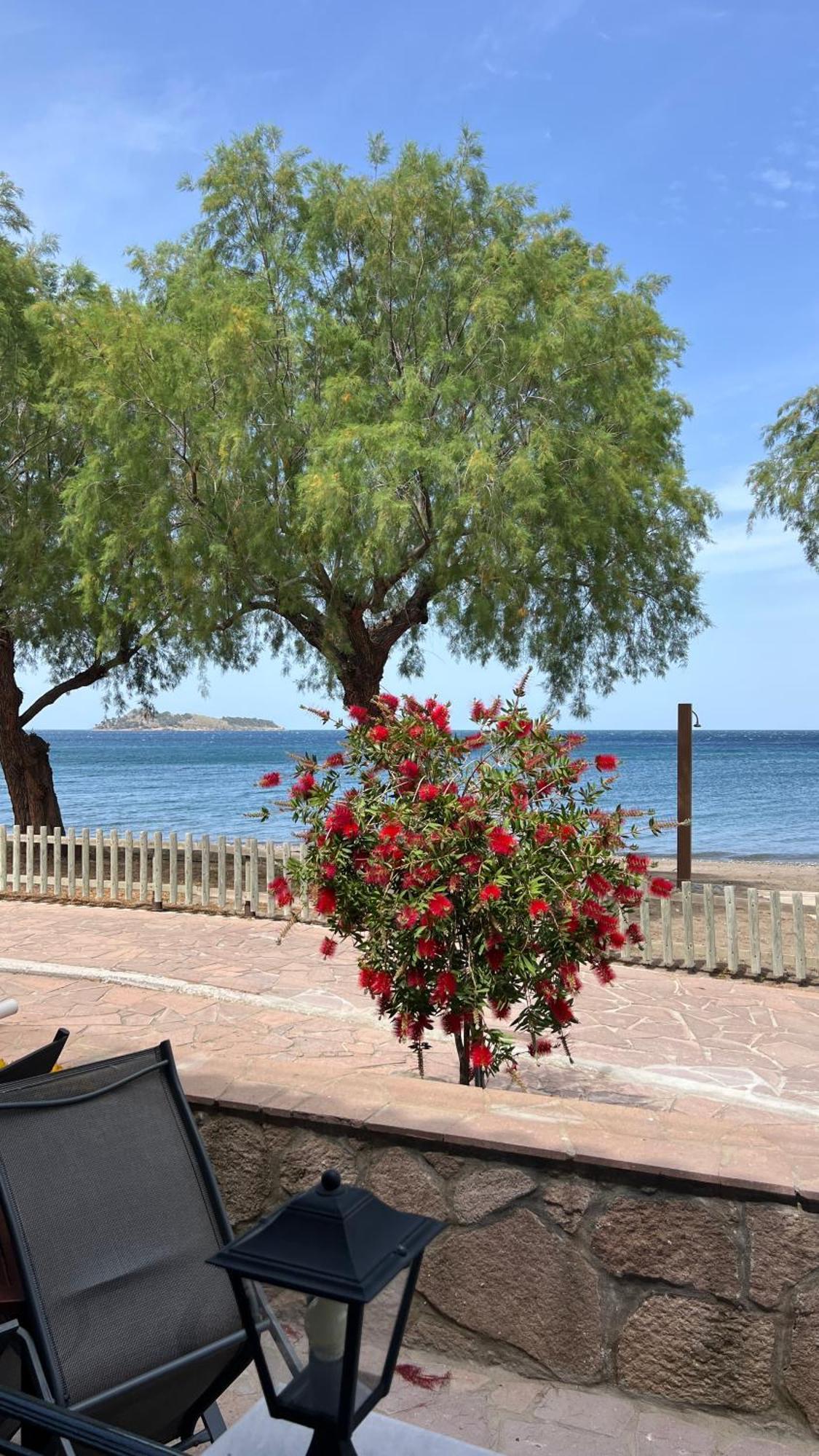 Coastline Villa Petra  Exterior foto
